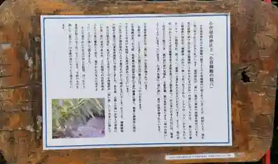 小菅稲荷神社の歴史
