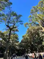 熱田神宮の自然