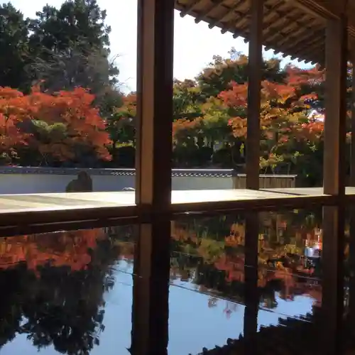 宝徳寺の庭園