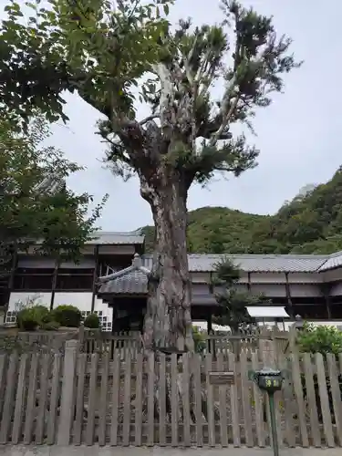 大日寺(徳島県)