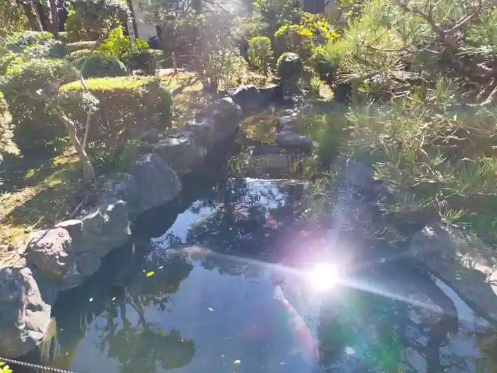 瑞光寺(京都府)
