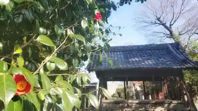 八幡社(大塚八幡社)の景色