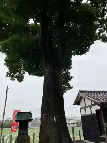 玉田神社の自然