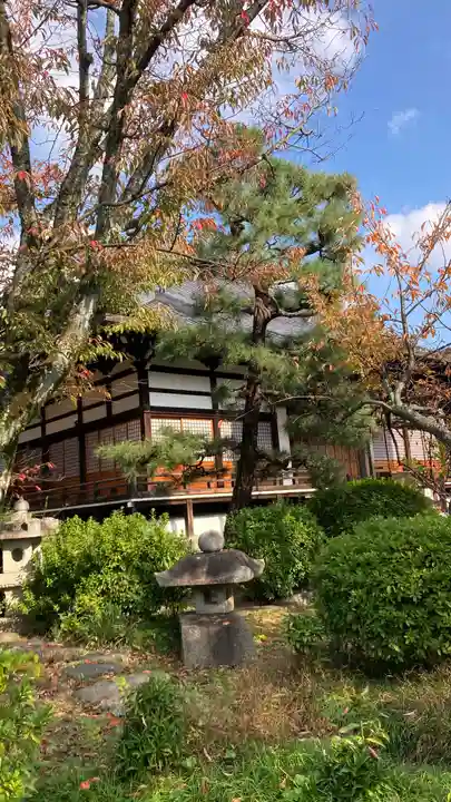 本満寺(本願満足寺)(京都府)