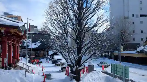 成田山札幌別院新栄寺の景色