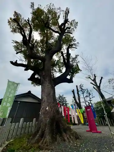 玉田神社(京都府)