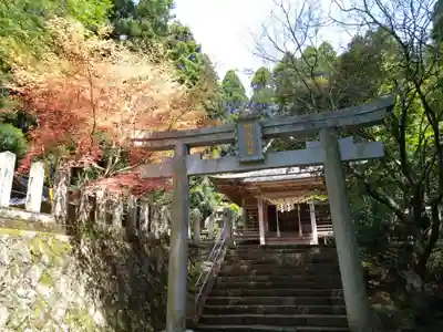 国造神社(熊本県)