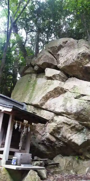 胡宮神社(敏満寺史跡)の自然