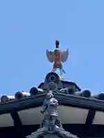 十念寺(京都府)