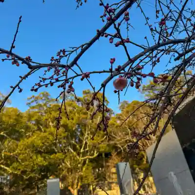 伊勢の国 四天王寺(三重県)