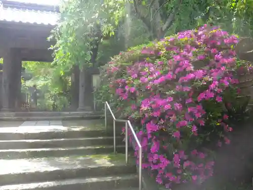 安國論寺（安国論寺）の自然