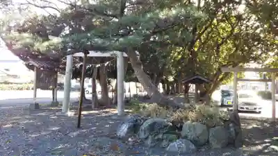 大幡八幡神社の自然