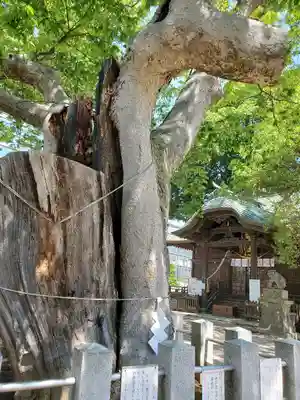 阿邪訶根神社のその他建物