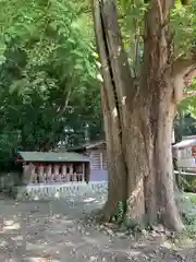 日吉神社(東京都)