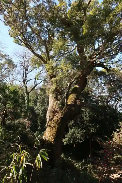奈良豆比古神社(奈良県)
