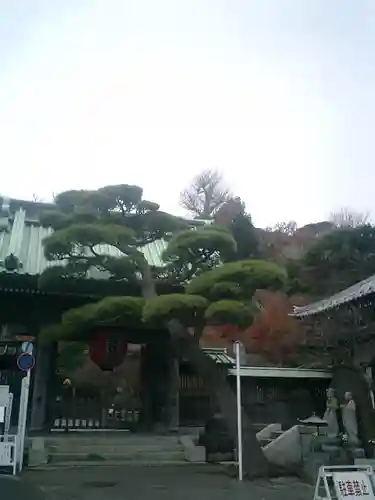 長谷寺の山門・神門