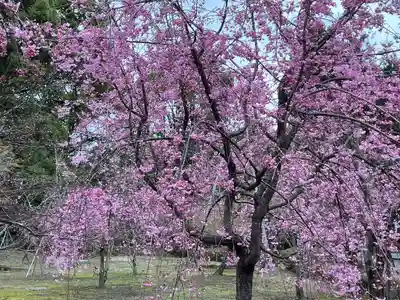 平安神宮(京都府)