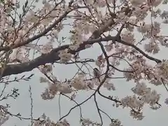 相武台神社(神奈川県)