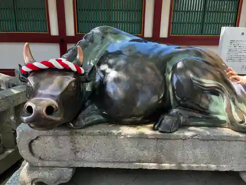 太宰府天満宮の狛犬