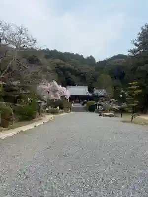 繁多寺の{uncategorized: "未分類", other: "その他", undefined: "問題あり", building: "その他建物", grave: "お墓", sacred_gate: "鳥居", guardian: "狛犬", statue: "像", buddha: "仏像", history: "歴史", nature: "自然", garden: "庭園", animal: "動物", pagoda: "塔", temizu: "手水舎", mountain_gate: "山門・神門", sanctuary: "本殿・本堂", subordinate: "末社・摂社", art: "芸術", scenery: "景色", jizo: "地蔵", ema: "絵馬", goshuin: "御朱印", omikuji: "おみくじ", items: "授与品その他", amulet: "お守り", goshuincho: "御朱印帳", eats: "食事", festival: "お祭り", votive_dance: "神楽", shichigosan: "七五三参", wedding: "結婚式", experience: "体験その他", initially: "初詣", around: "周辺", anti_infection: "感染症対策"}