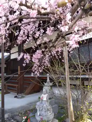 聞名寺(京都府)