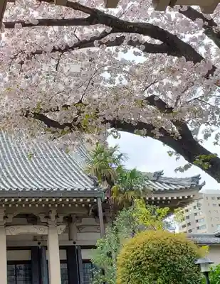 報恩寺(東京都)