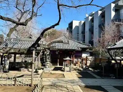 新井薬師（梅照院）(東京都)