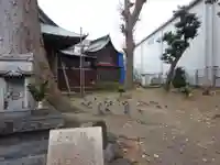 三島神社の動物