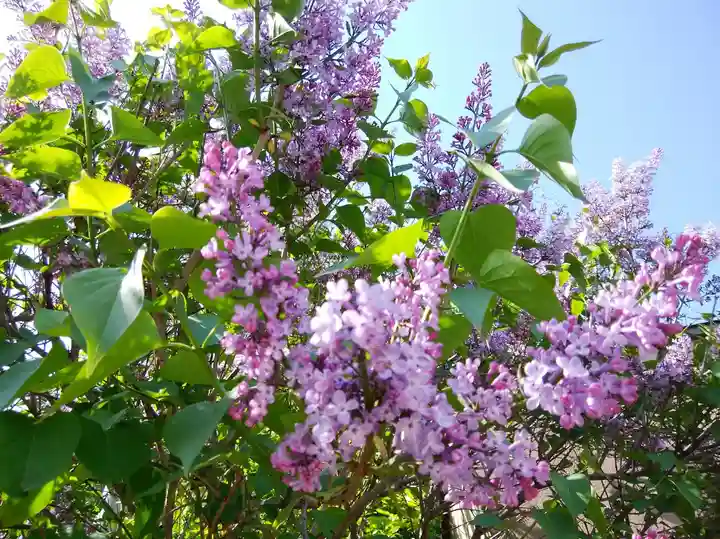 瑞玄寺(北海道)