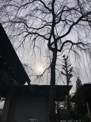 開成山大神宮(福島県)