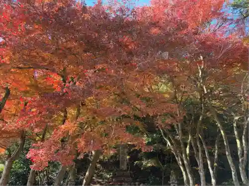 円通寺(兵庫県)