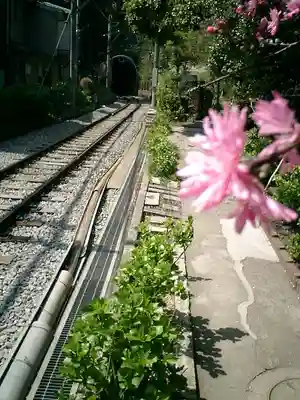 御霊神社の周辺