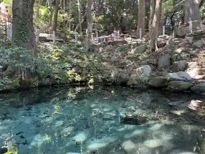 泉神社(茨城県)