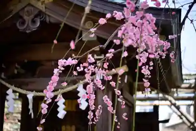 亀戸天神社(東京都)