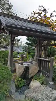 衣笠常修寺の手水舎
