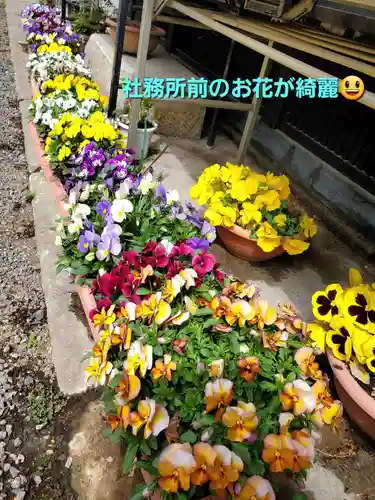 豊景神社(福島県)