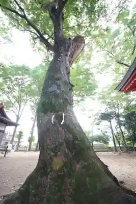 秋津神社(東京都)