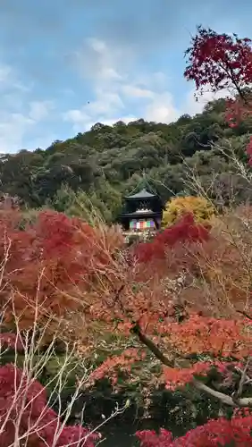 禅林寺（永観堂）(京都府)