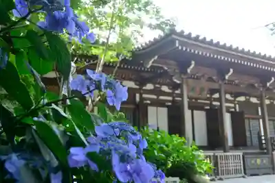 高幡不動尊　金剛寺のその他建物