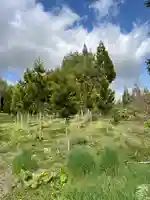 🌸乙部八幡神社(北海道)