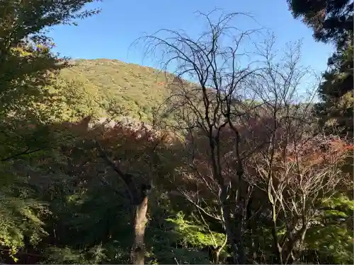 普門寺(切り絵御朱印発祥の寺)(愛知県)