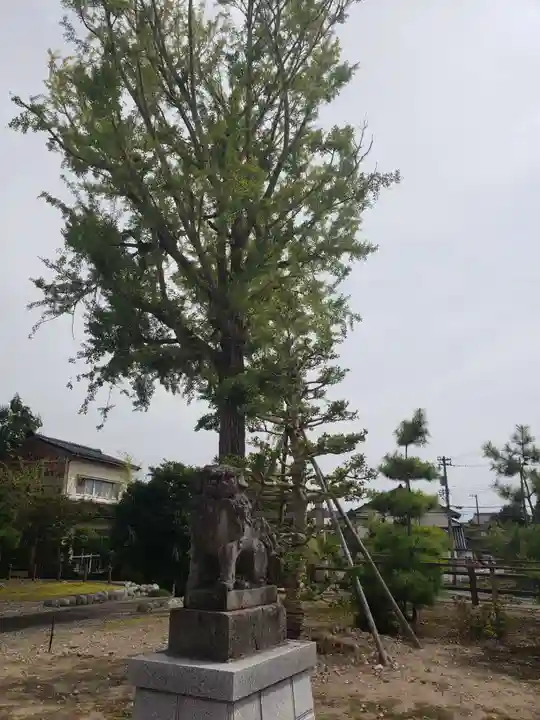 島八幡社の自然
