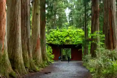 戸隠神社九頭龍社(長野県)