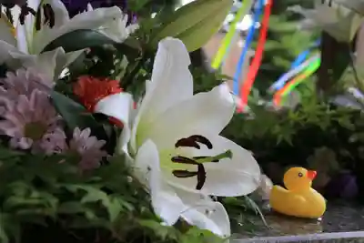 滑川神社 - 仕事と子どもの守り神の手水舎