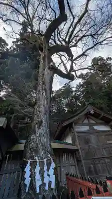 日吉大社　西本宮(滋賀県)