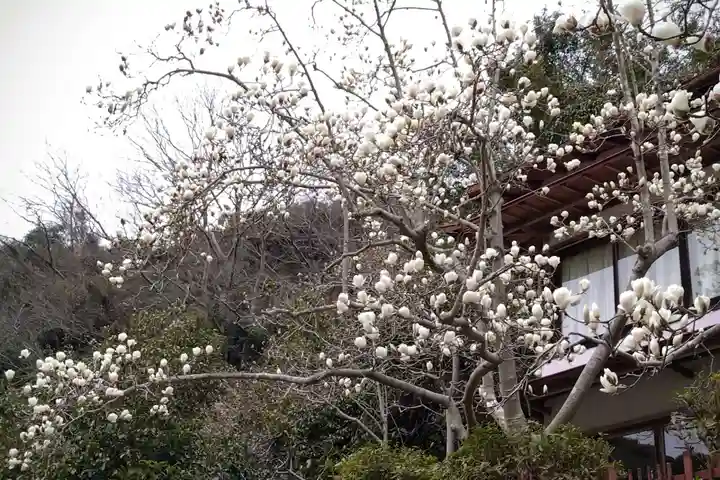 菅生山 大宝寺(愛知県)