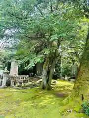 足羽神社(福井県)