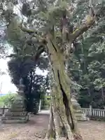 大避神社(兵庫県)