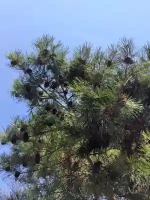厚別神社(北海道)