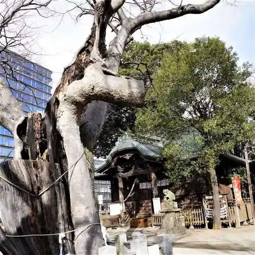 阿邪訶根神社のその他建物